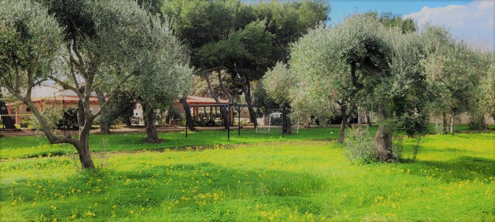 Villa Costanza Барі Екстер'єр фото