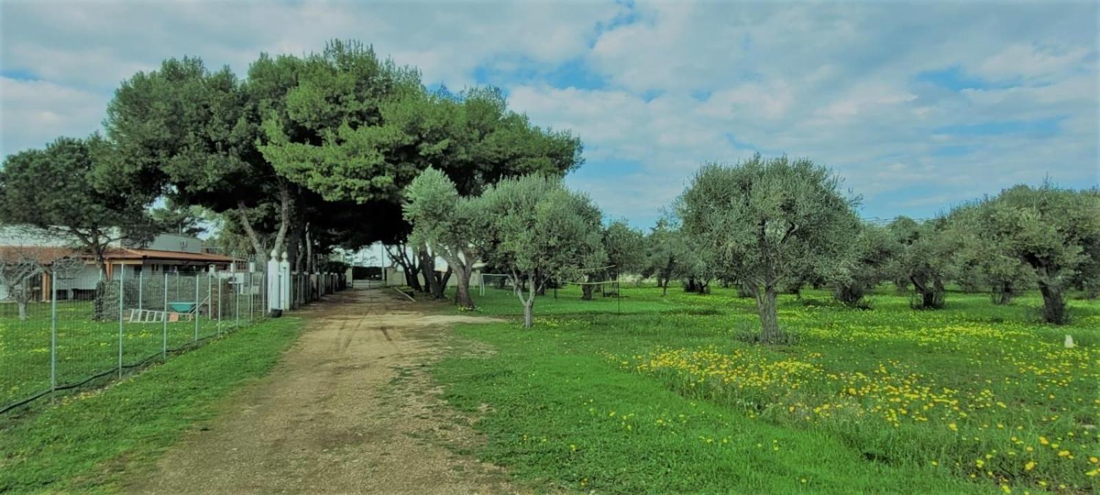 Villa Costanza Барі Екстер'єр фото